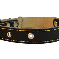 Genuine Leather Dog Collar 13"-19.5" Neck Size, 1" Wide Black