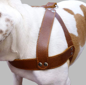 Brown Leather Dog Harness, Large. 28"-34" Chest, 1.5" Wide Straps, Rottweiler Bulldog