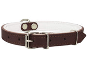 Dogs My Love Genuine Leather Felt Padded Dog Collar Brown