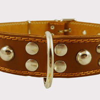 Genuine 1.6" Wide Leather Studded Dog Collar Tan Fits 19"-24" Neck Large Breeds Cane Corso, Bulldog