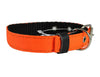 Double Thick Nylon Dog Collar Leather Enforced Metal Buckle Sized to Fit 11"-14" Neck, 1" Wide.