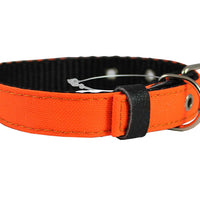 Double Thick Nylon Dog Collar Leather Enforced Metal Buckle Sized to Fit 9.5"-13" Neck, 3/4" Wide.