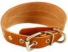 Orange Real Leather Tapered Extra Wide Greyhound  Dog Collar 2.75" Wide Fits 12"-16" Neck Medium