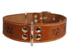Genuine Leather Dog Collar 1.6"x27" Fits 19"-24" Neck, Brown