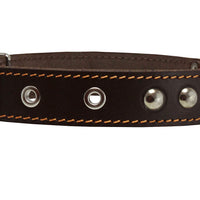 Genuine 1.25" Wide Thick Leather Studded Dog Collar. Fits 15"-20" Neck, Medium Breeds.
