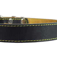 Real Thick Leather Dog Collar 16"-22" Neck Size, 1.5" Wide, Amstaff, Pitbull