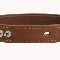 Thick Genuine Leather Spiked Dog Collar 1" Wide Tan Sized to Fit 17"-21" Neck 1" Wide Akita, Husky