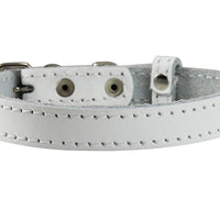 Genuine Leather Dog Collar for Smallest Dogs and Puppies 3 Sizes White