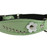 Genuine leather Designer Dog Collar 14.5"x1" with Studs, Daisy, and Rhinestone, Fit 10.5"-13" neck
