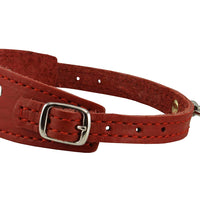 Genuine Leather Two Buckles Dog Collar 9.5"-12.5" Neck for Small Breeds and Puppies Red