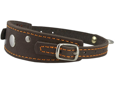 Genuine Leather Two Buckles Dog Collar 9.5