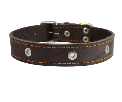 Genuine Leather Studded Dog Collar, Brown, 1.25