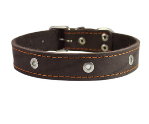 Genuine Leather Studded Dog Collar, Brown, 1.25" Wide. Fits 15"-18.5" Neck. Amstaff
