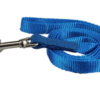 Dog Leash 1/2" Wide Nylon 5ft Length with Leather Enforced Snap Blue Small