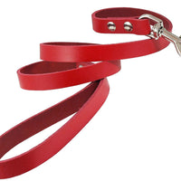 Dogs My Love Genuine Leather Classic Dog Leash 4 Ft Long 9 Sizes Red