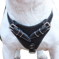 Black Genuine Leather Dog Harness, 33"-41" Chest, 1" Wide Straps Mastiff, Great Dane