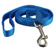 Dog Leash 1/2" Wide Nylon 5ft Length with Leather Enforced Snap Blue Small