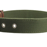 Heavy Duty Cotton Web Dog Collar 1.5" Wide. Fits 20"-25.5" Neck XLarge Mastiff, Rottweiler