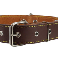 Real Thick Leather Dog Collar 16"-22" Neck Size, 1.5" Wide, Bullterrier, Pitbull