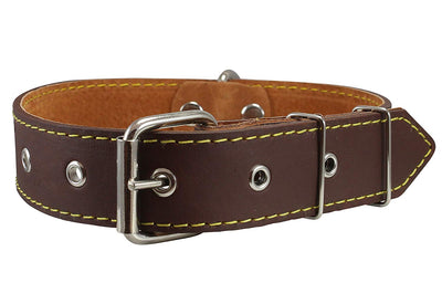 Real Thick Leather Dog Collar 16