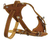 Genuine Leather Dog Harness, 16.5"-20" Chest size, 1/2" Wide, Boston Terrier