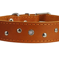 Genuine Leather Dog Collar Studded 1.5" Wide, 16.5"-20" Neck
