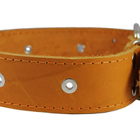 Genuine Leather Studded Dog Collar Tan 1.75" Wide. Fits 18.5"-22" Neck. For Large Breeds