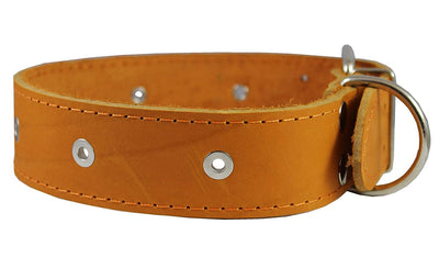 Genuine Leather Studded Dog Collar Tan 1.75