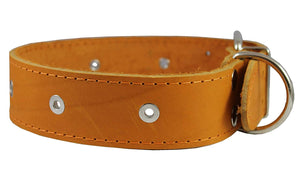 Genuine Leather Studded Dog Collar Tan 1.75" Wide. Fits 18.5"-22" Neck. For Large Breeds