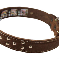 Training Pinch and Genuine Leather Studded Dog Collar Fits 21"-25" Neck Brown 29"x1.5" Wide