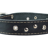 Genuine Leather Studded Dog Collar, 1.25" Wide. Fits 16"-19" Neck