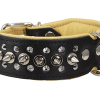 Dogs My love Spiked Studded Genuine Leather Dog Collar 1.75" Wide Black/Beige