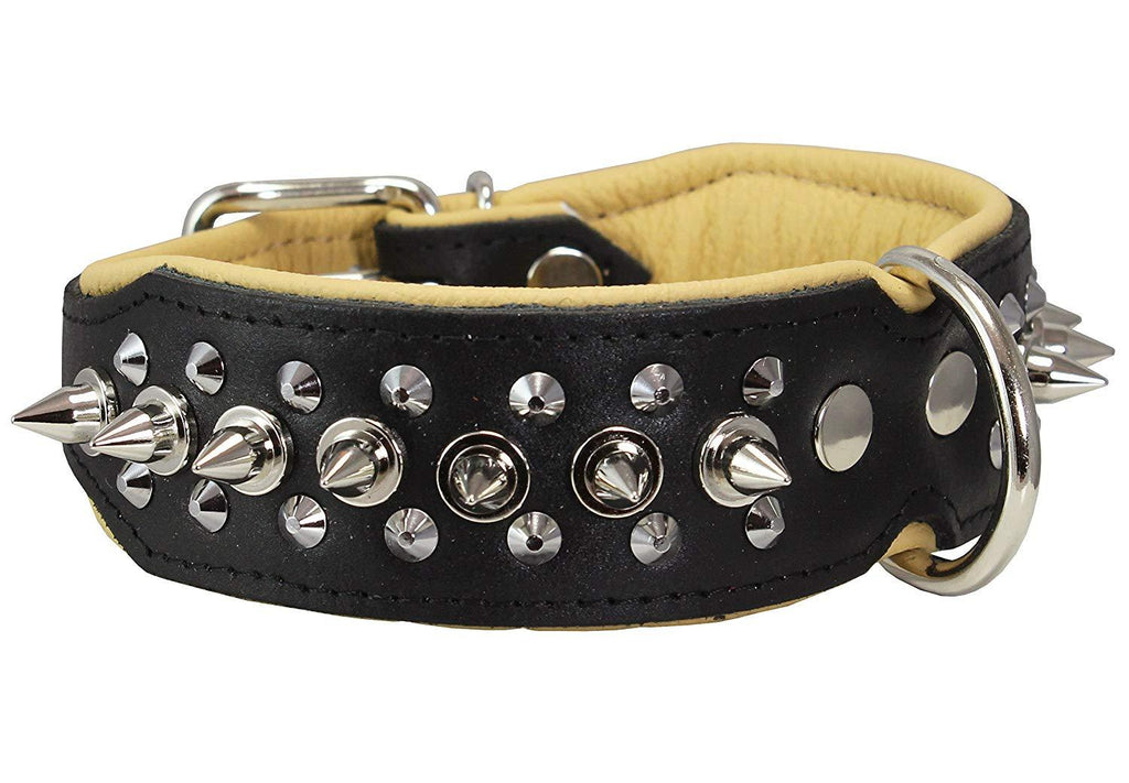 Dogs My love Spiked Studded Genuine Leather Dog Collar 1.75" Wide Black/Beige