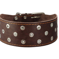 Dogs My Love 3" Extra Wide Genuine Leather Studded Brown Leather Collar. Fits 20"-24.5" Neck Large