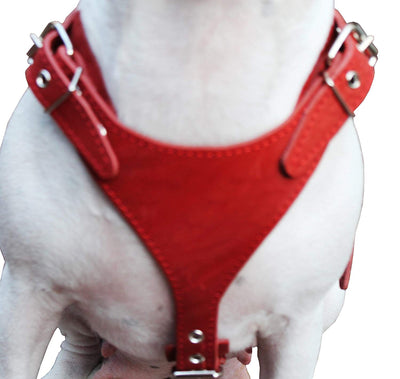 Red Genuine Leather Dog Harness, Medium. 25