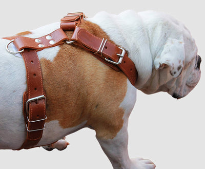 Brown Genuine Leather Dog Harness. 28