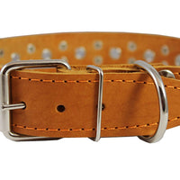 Genuine Leather Studded Dog Collar 25"x1.5" Tan Fits 18"-21" Neck Large