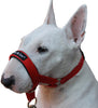 Dog Head Collar Halter Red 6 Sizes
