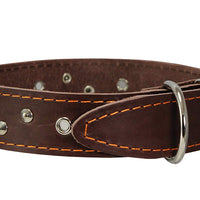 Genuine Leather Dog Collar Studded 1.5" Wide, 16.5"-20" Neck