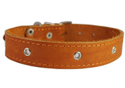 Genuine Leather Studded Dog Collar, 1.25" Wide. Fits 15"-18.5" Neck. Amstaff