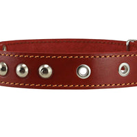 Genuine 1" Wide Thick Leather Studded Dog Collar. Fits 14"-17" Neck, Medium Breeds.