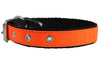 Double Thick Nylon Dog Collar Leather Enforced Metal Buckle Sized to Fit 14"-17" Neck, 1" Wide.