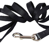 Dog Leash 1/2" Wide Nylon 6ft Length with Leather Enforced Snap Black Small