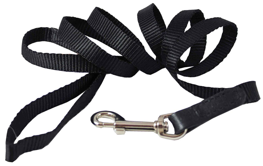 Dog Leash 1/2" Wide Nylon 6ft Length with Leather Enforced Snap Black Small
