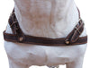 Leather Dog Pulling Walking Harness . 33"-37" Chest, 1" Wide Straps. Pitt Bull, Rottweiler
