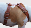 Genuine Leather Dog Harness. 31"-37" Chest, 1.5" Wide Straps, Rottweiler, Pitbull, Cane Corso
