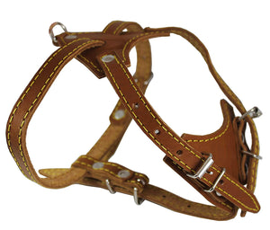 Genuine Leather Dog Harness, 16.5"-20" Chest size, 1/2" Wide, Boston Terrier