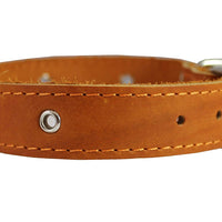 Genuine Leather Studded Dog Collar, 1.25" Wide. Fits 15"-18.5" Neck. Amstaff