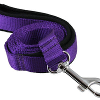 Dogs My Love 6ft Long Neoprene Padded Handle Nylon Leash 4 Sizes Purple