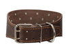 Dogs My Love 3" Extra Wide Genuine Leather Studded Brown Leather Collar 19"-23" Neck Large Breeds